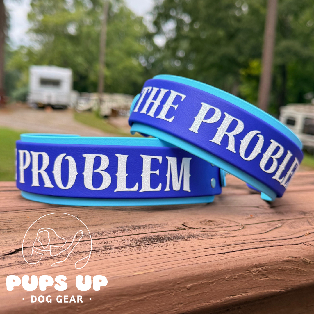 PREMADE 2” The Problem Collar