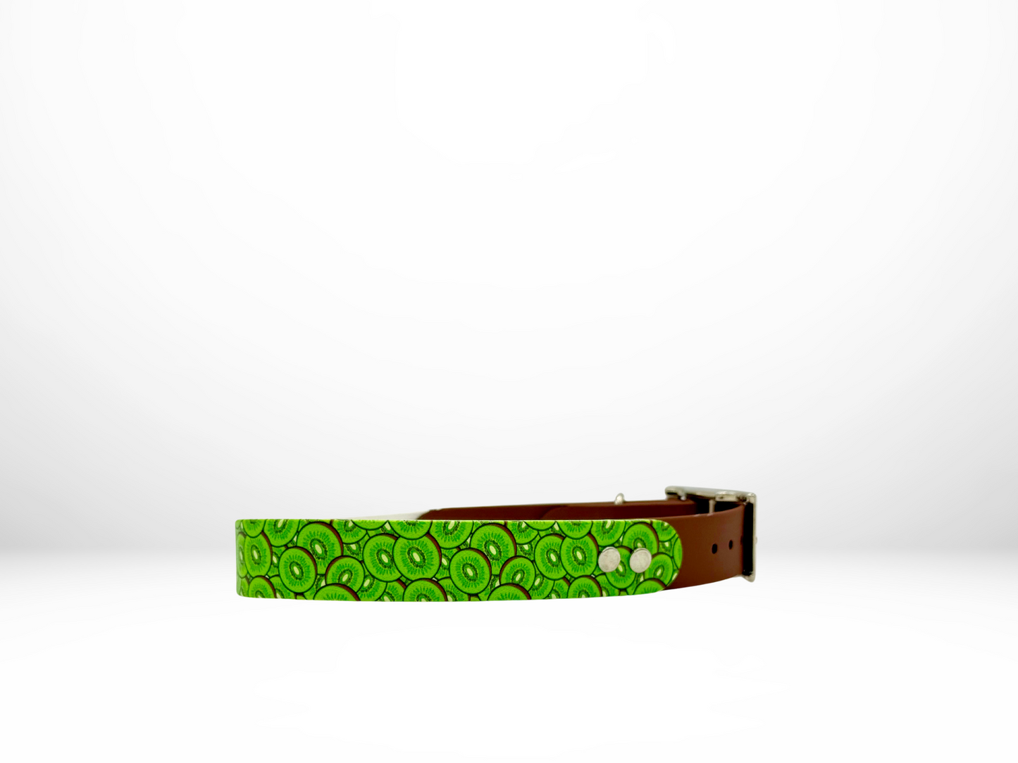 Large (16-19 Inches) Kiwi UV Print with Accent Dog Collar