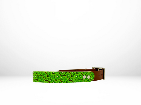 Large (16-19 Inches) Kiwi UV Print with Accent Dog Collar