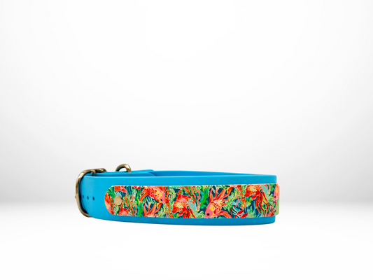 Large (16-19 Inches) Sky Blue with Tropical Fish Accent Dog Collar