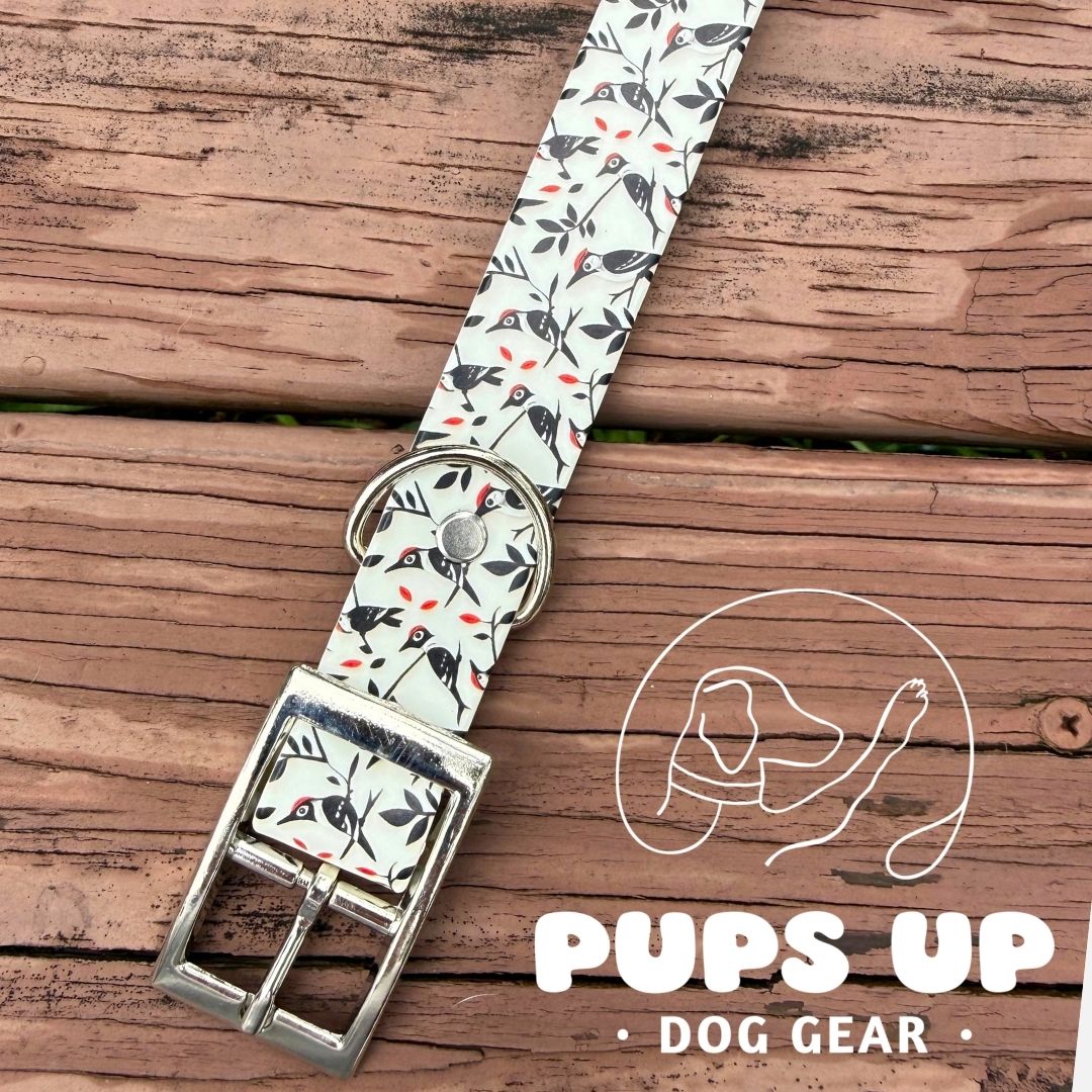 1" Woodpecker Collar
