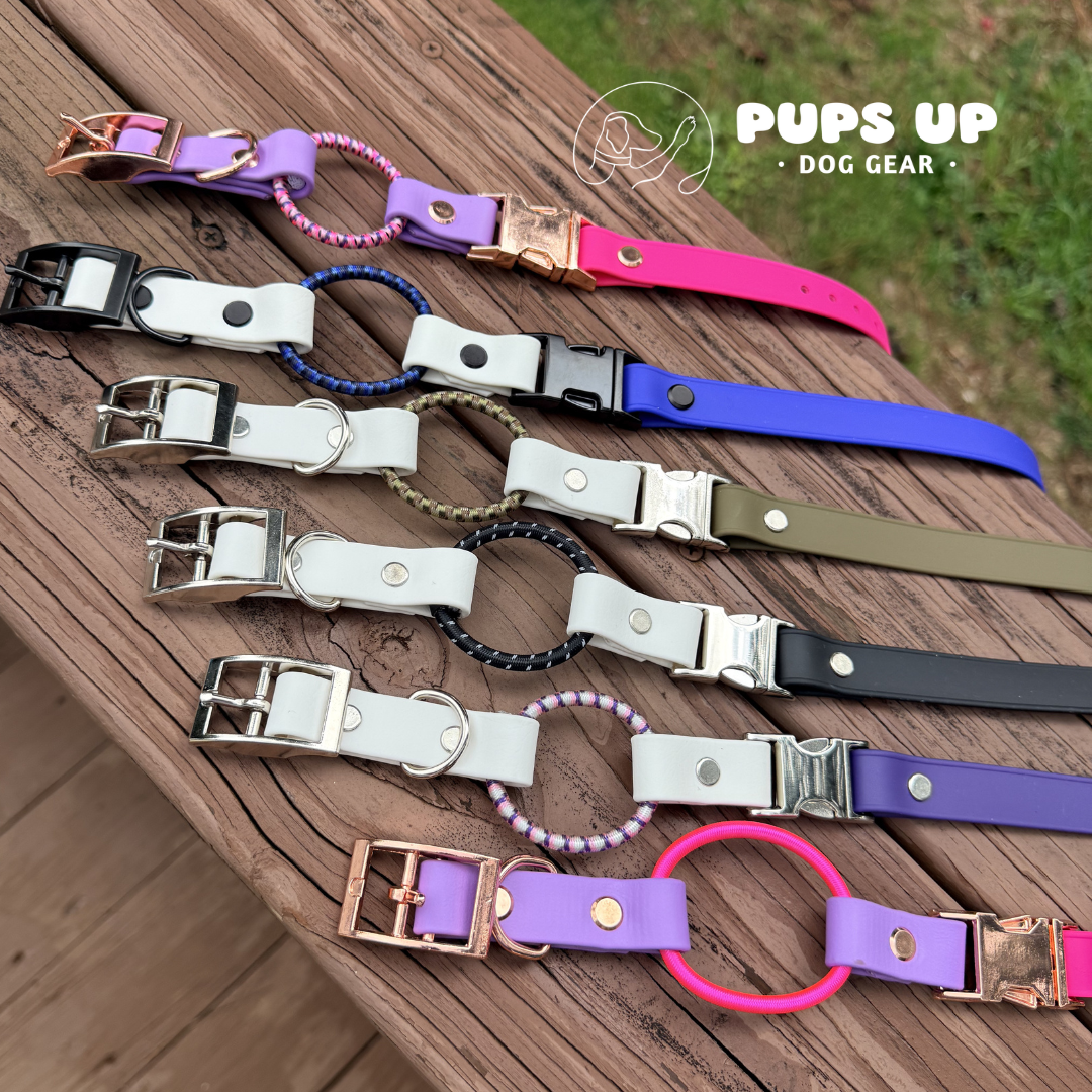 3/4" Bungee E Collar Strap