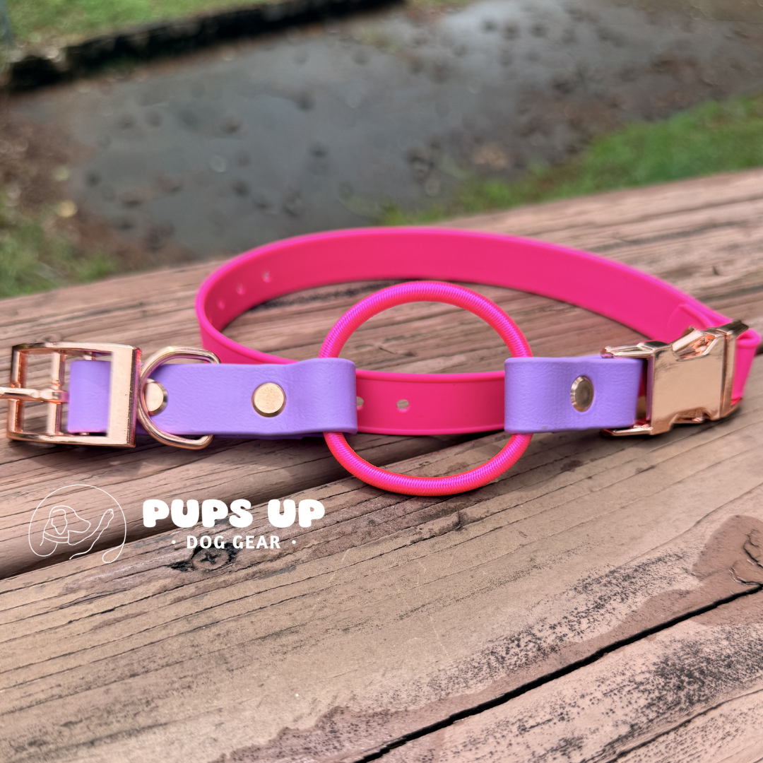 PREMADE 3/4" E Collar Strap