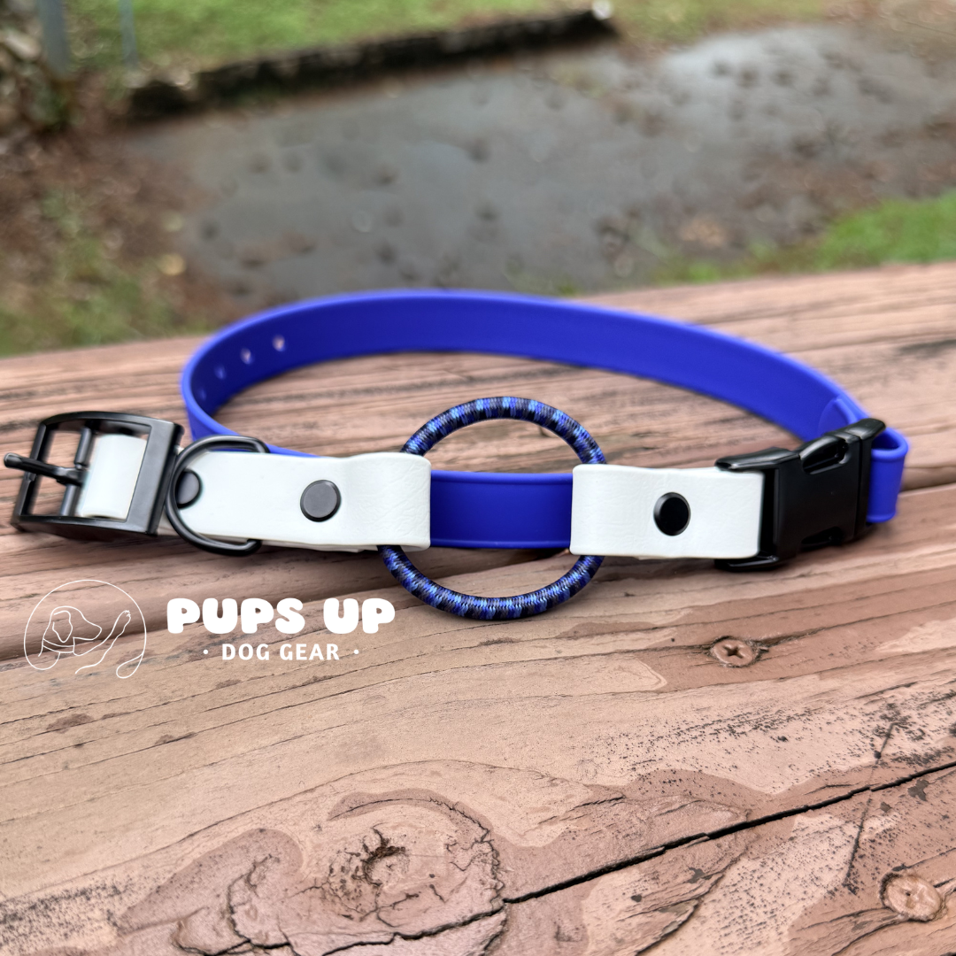 PREMADE 3/4" E Collar Strap