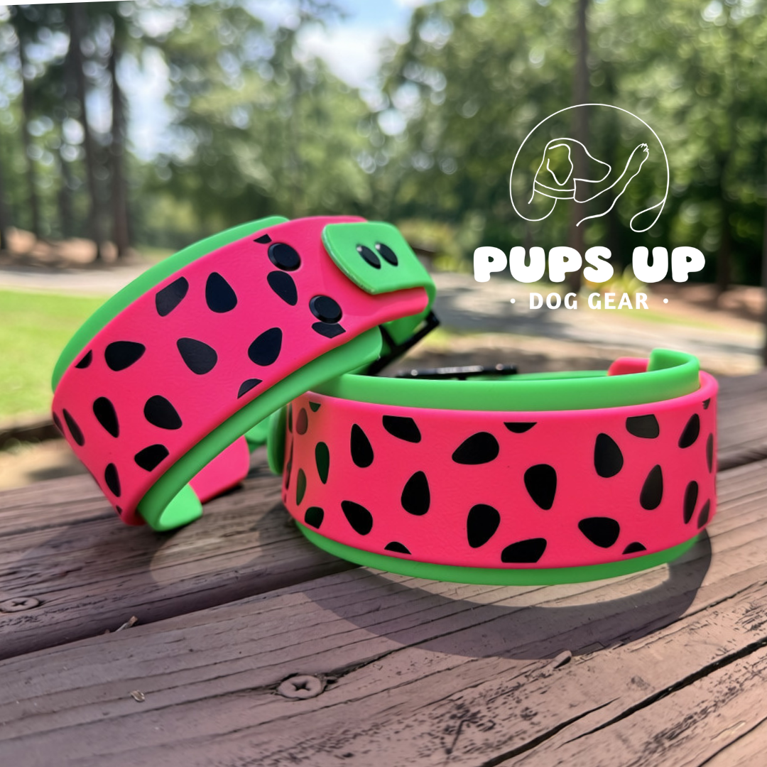 2” Watermelon Collar