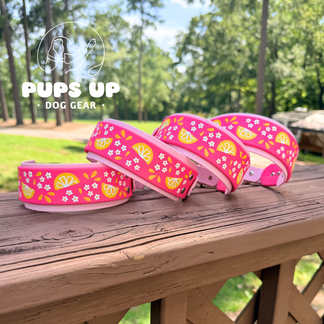 2” Pink Lemonade Collar