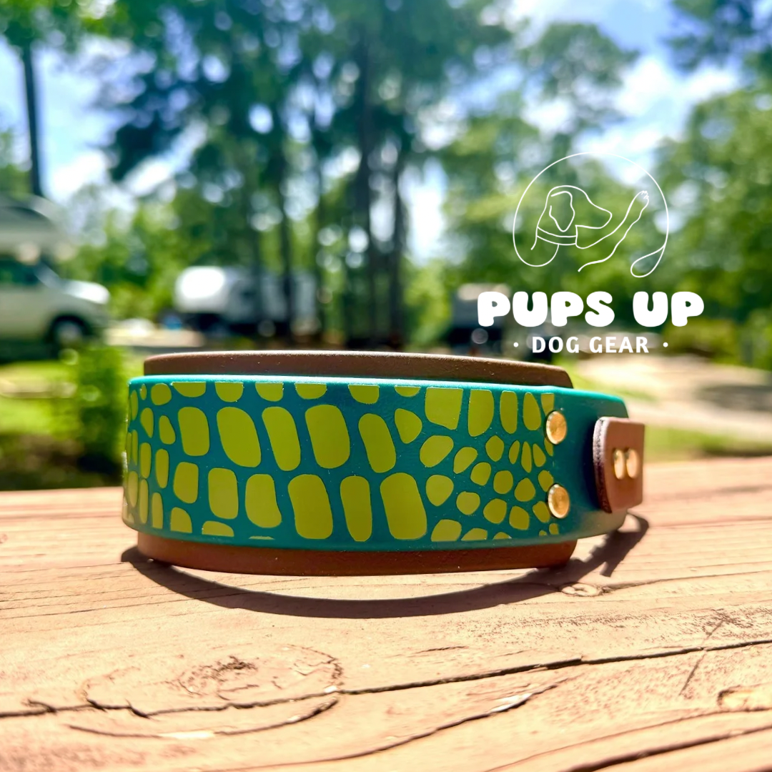 PREMADE 2" Alligator Print Collar