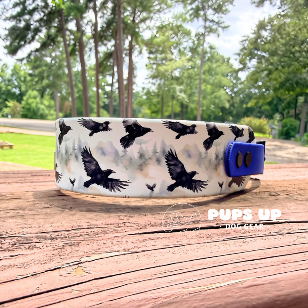 PREMADE 1.5" Raven Collar