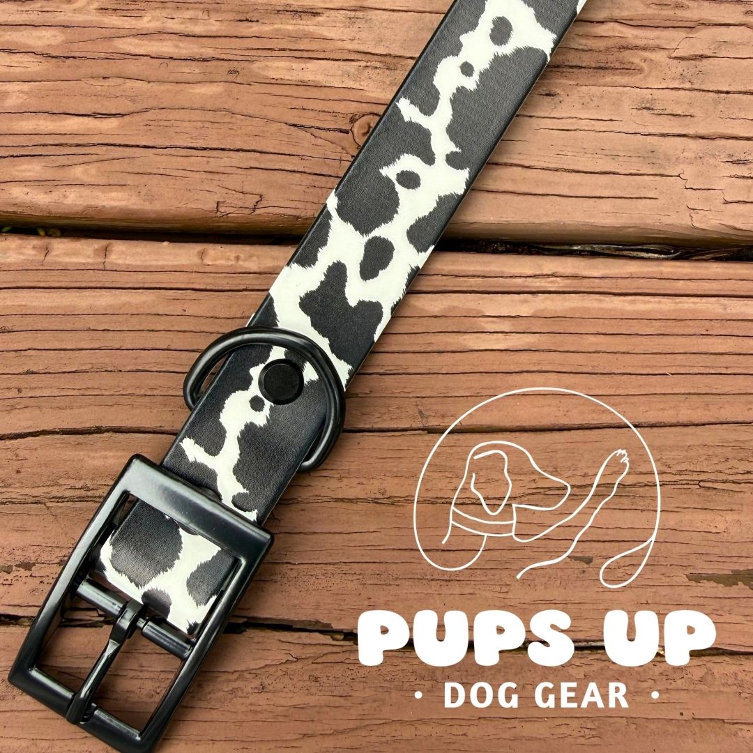 1" Cowhide Collar