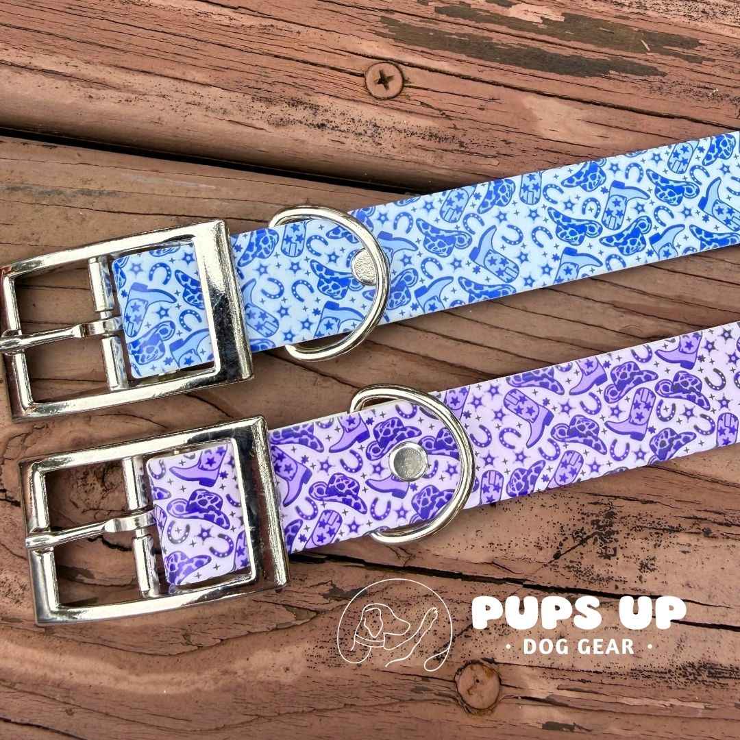 1" Blue Cowgirl Collar
