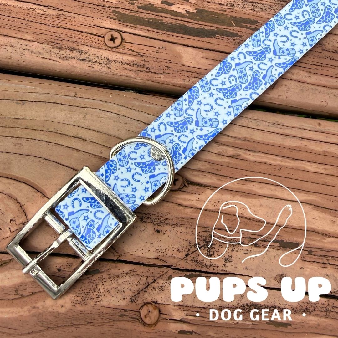 1" Blue Cowgirl Collar
