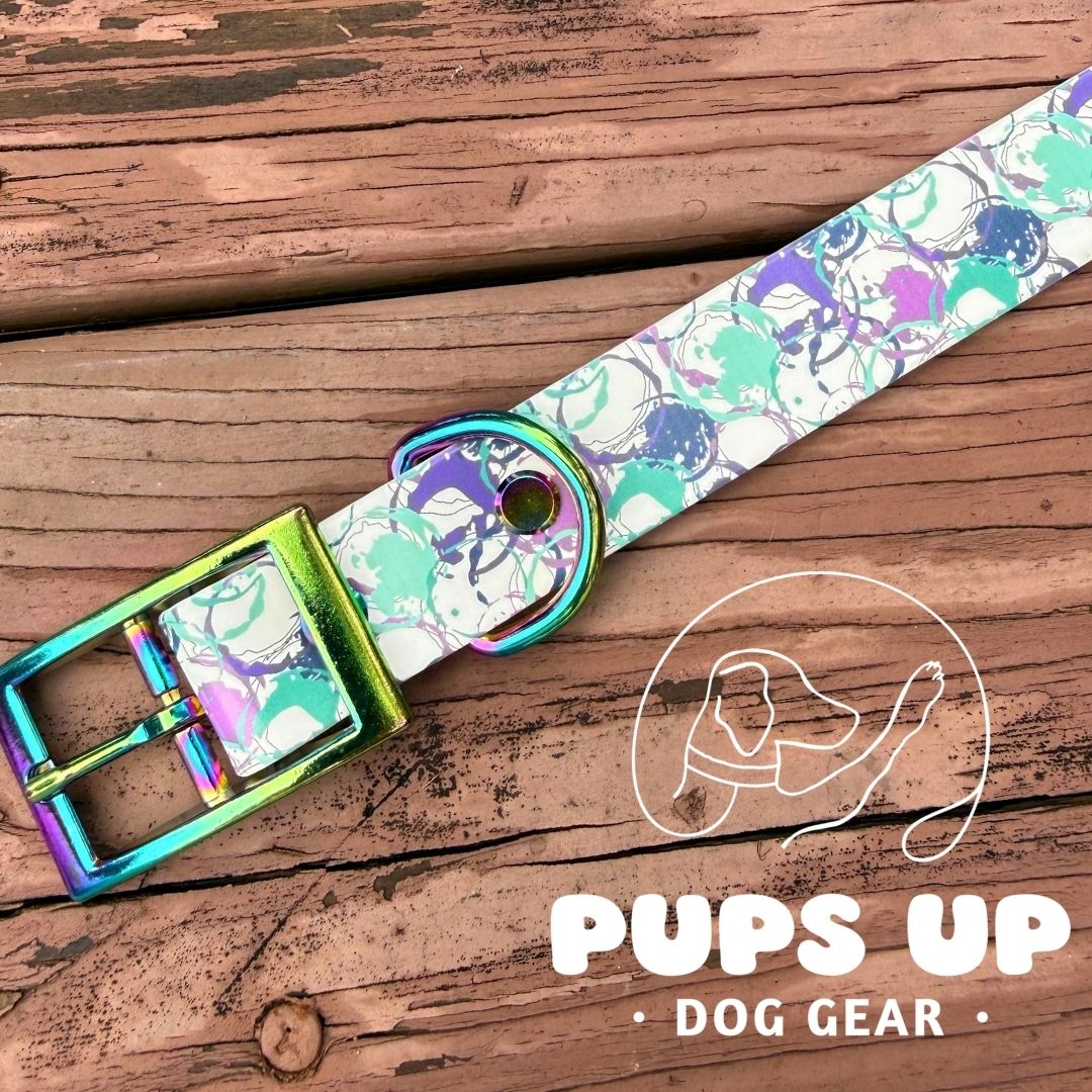 1" Paint Circles Collar