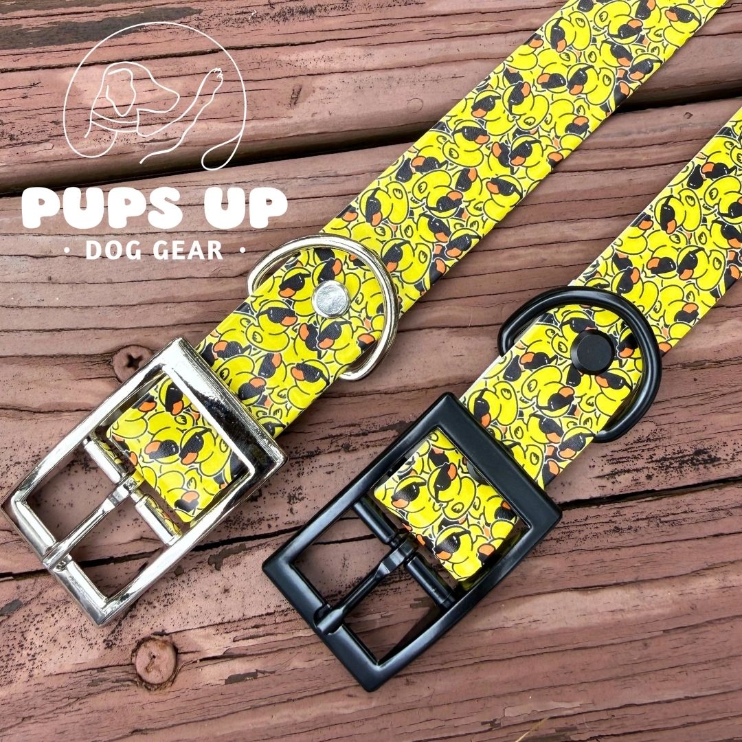1" Cool Ducks Collar