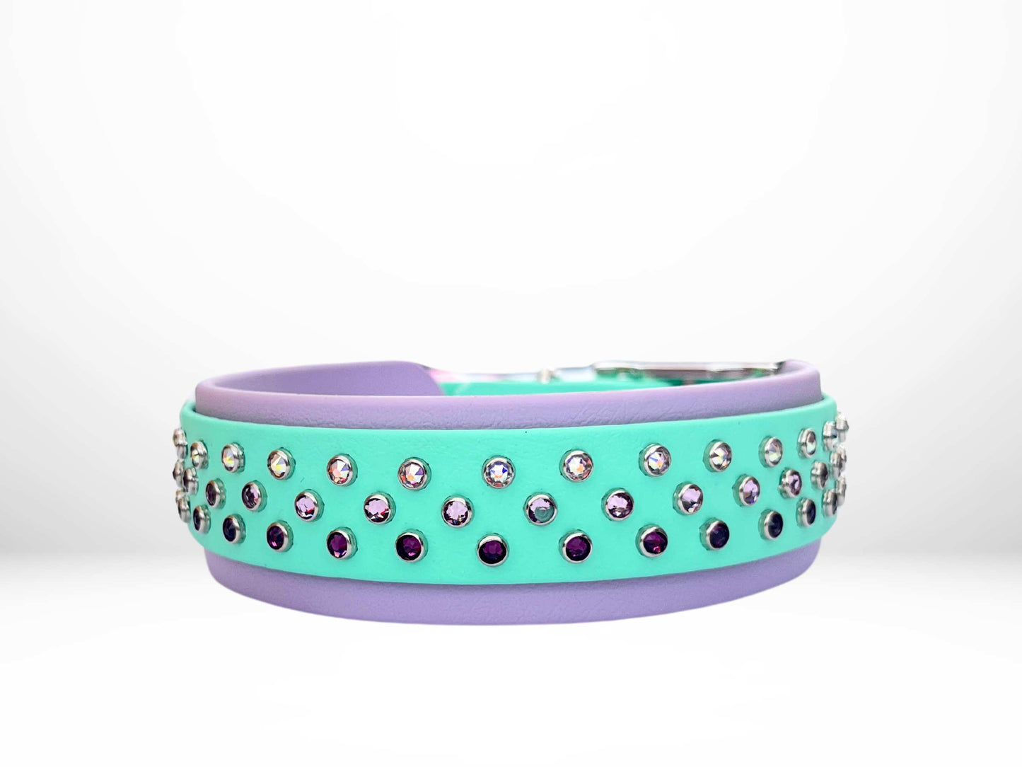 Large (16-19 Inches) Crystal Buckle Biothane Collar