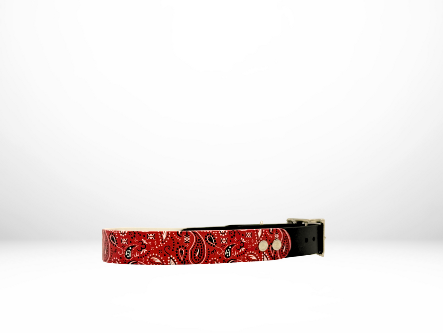 Large (16-19 Inches) Red Paisley UV Print with Black Accent Dog Collar