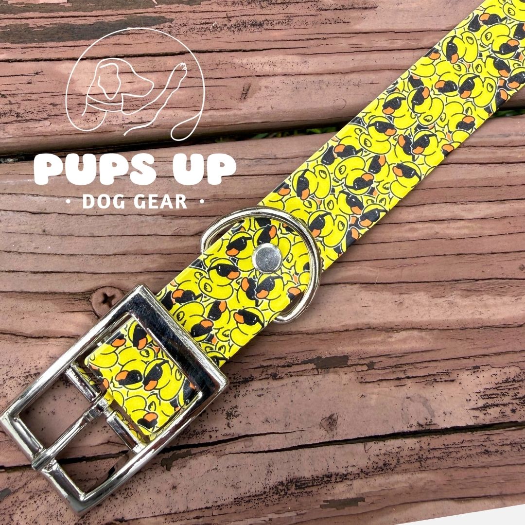 1" Cool Ducks Collar
