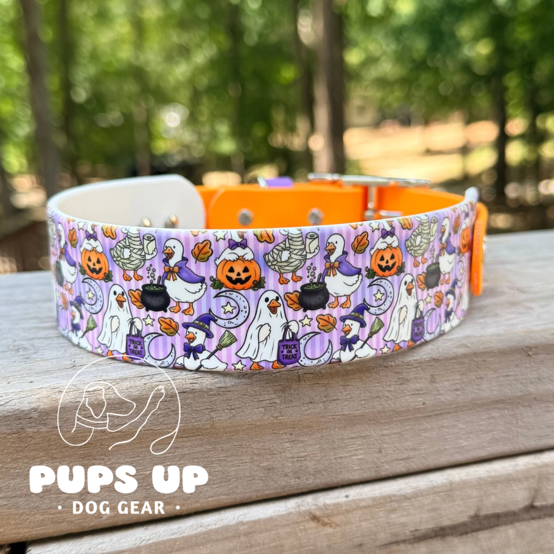 PREMADE 1.5" Spooky Goose Taper Collar