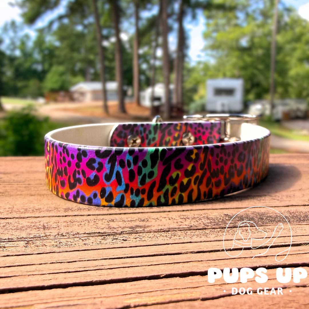 PREMADE 1.5" Rainbow Leopard Collar