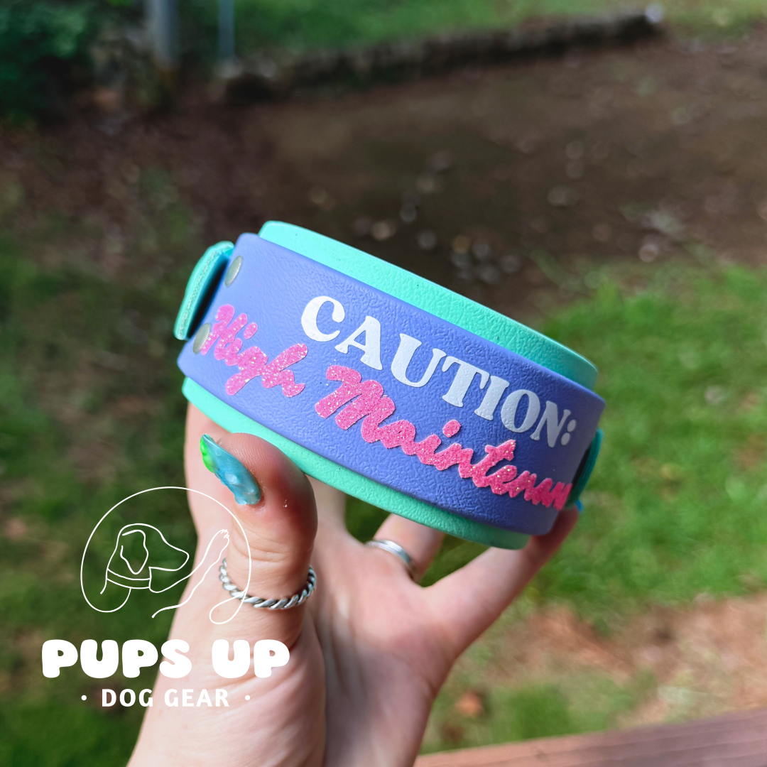 PREMADE 2” Caution: High Maintenance Collar
