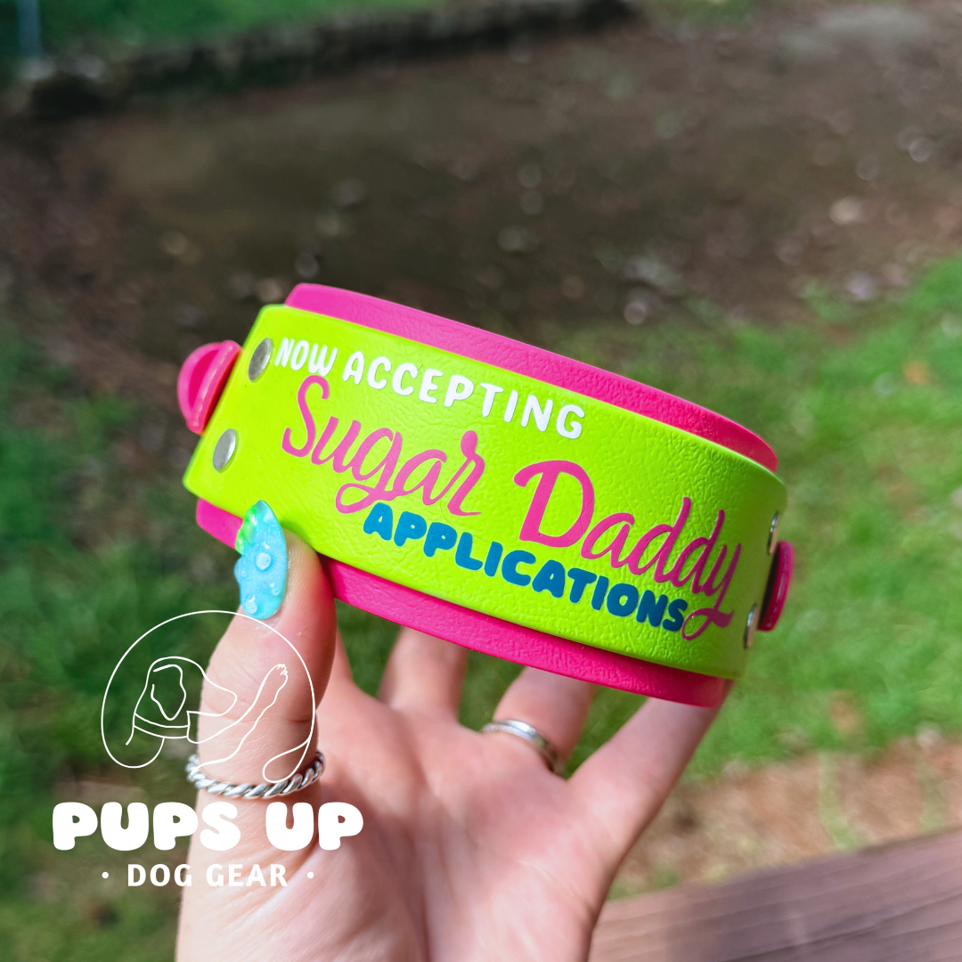 PREMADE 2” Sugar Daddy Applications Collar