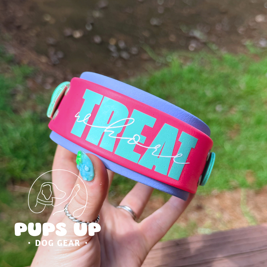 PREMADE 2” Treat Whore Collar