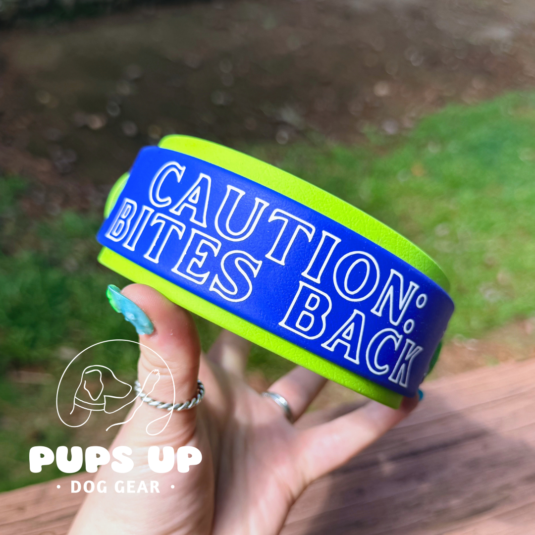 PREMADE 2” Caution Bites Back Collar