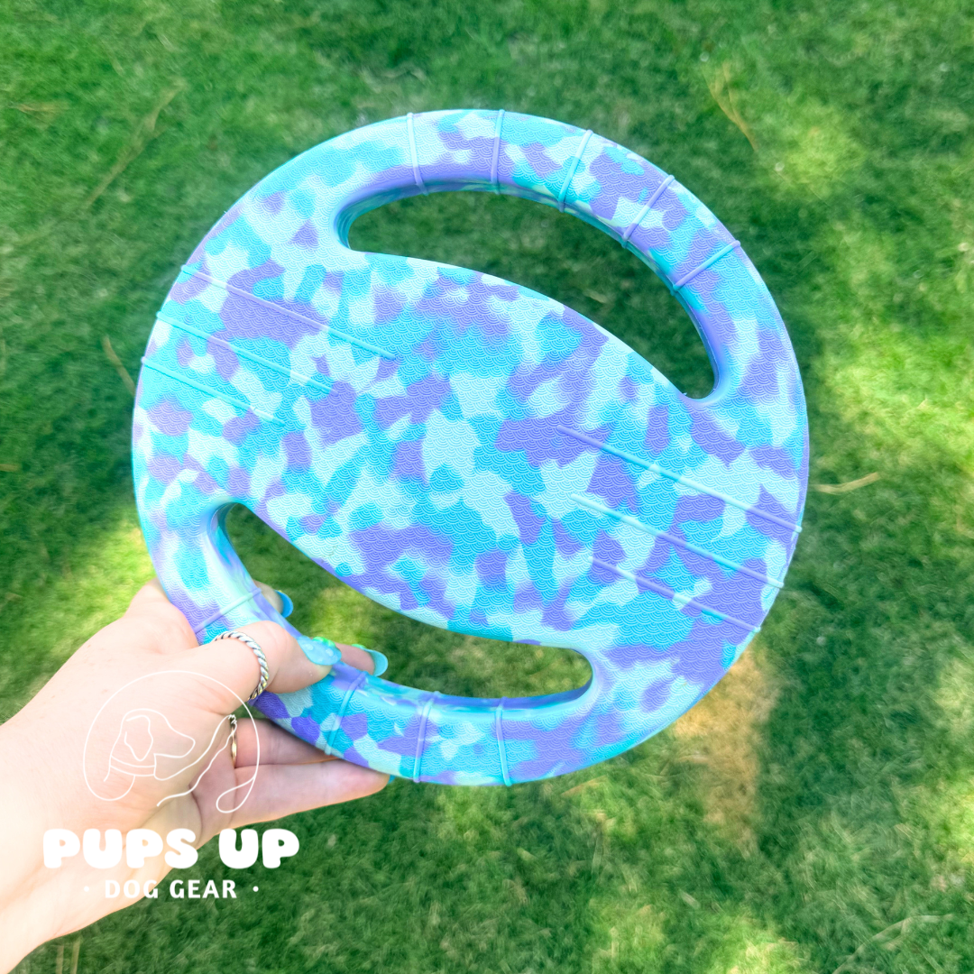 Pack Spirit Frisbee with Handles