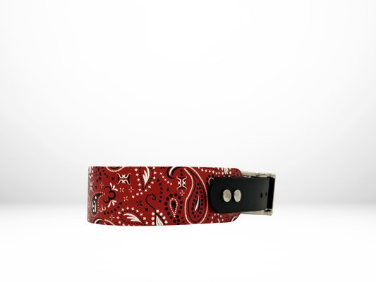 Medium (13-16 Inches) Red Paisley UV Print with Black Accent Dog Collar