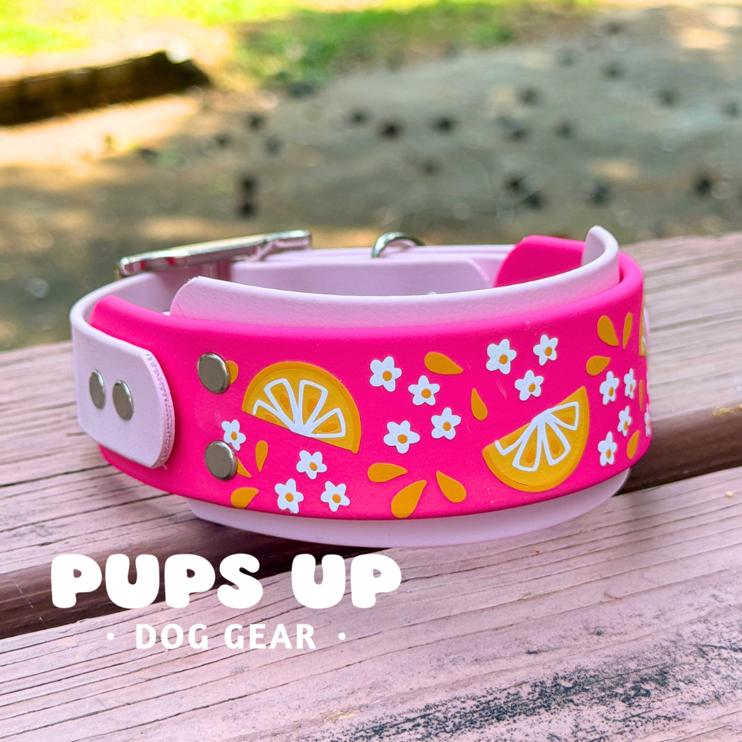 PREMADE 2” Pink Lemonade Collar