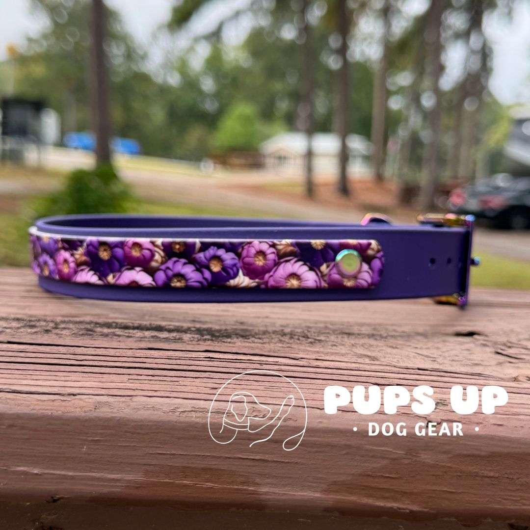 1" w/ Overlay Violet Poppies Collar