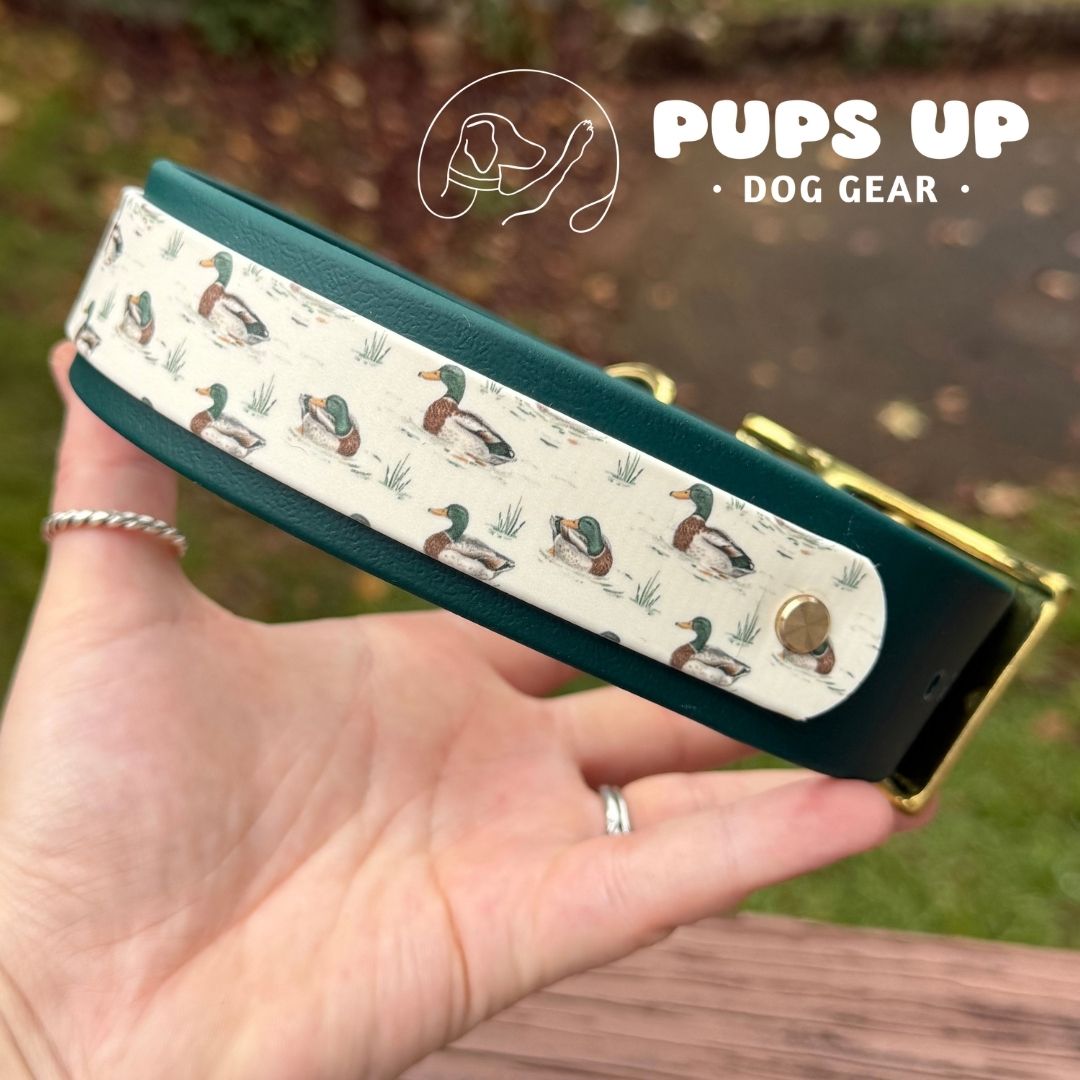 1.5" w/ Overlay Mallard Collar
