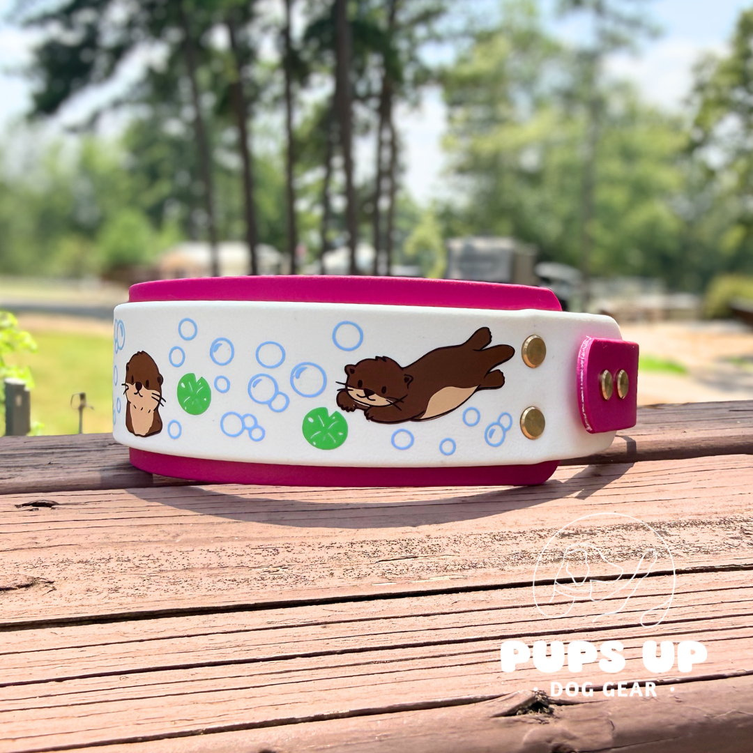 2" Otter Collar