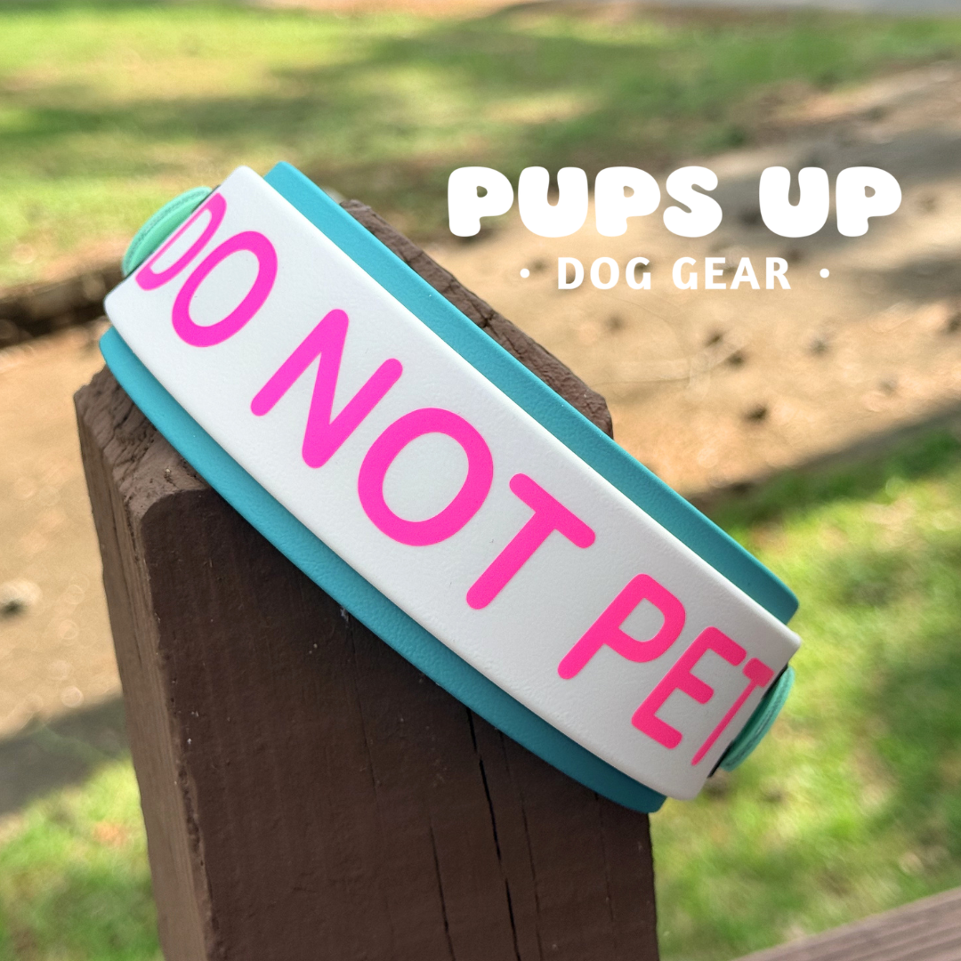 PREMADE 2” DO NOT PET Collar