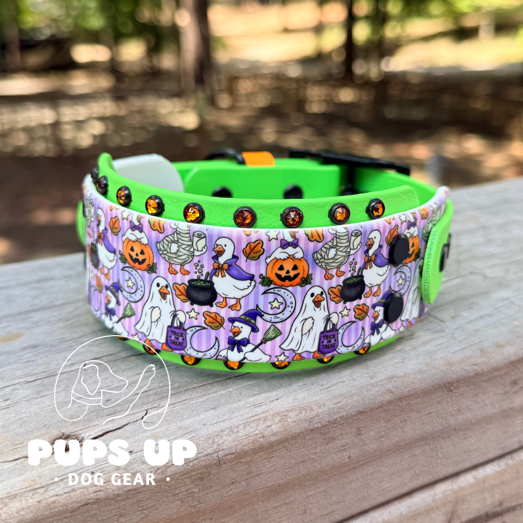 PREMADE 2" Spooky Goose Crystal Border Collar