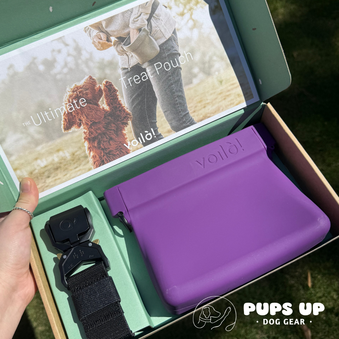 Voila Treat Pouch - Aubergine
