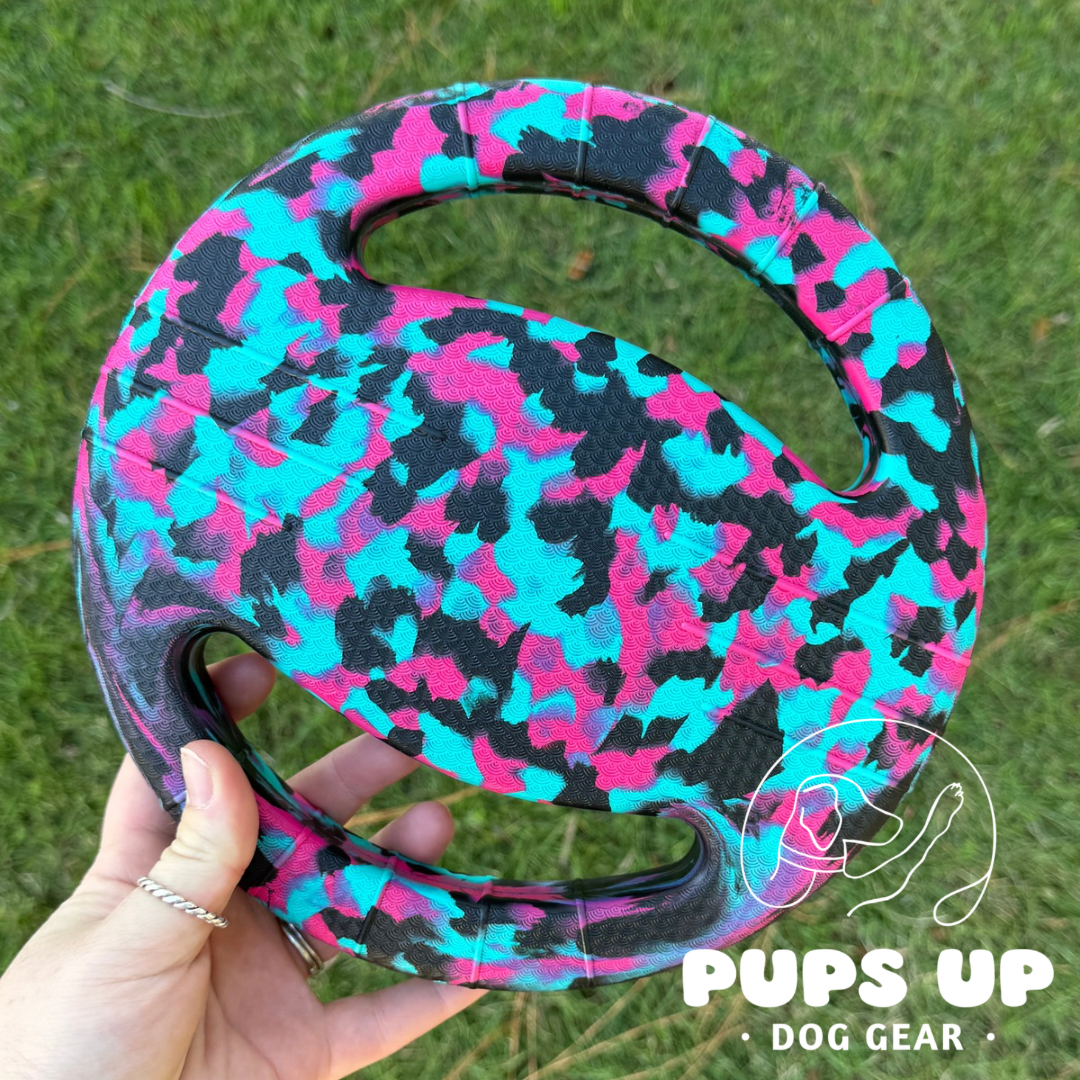 Pink Sky Frisbee with Handles