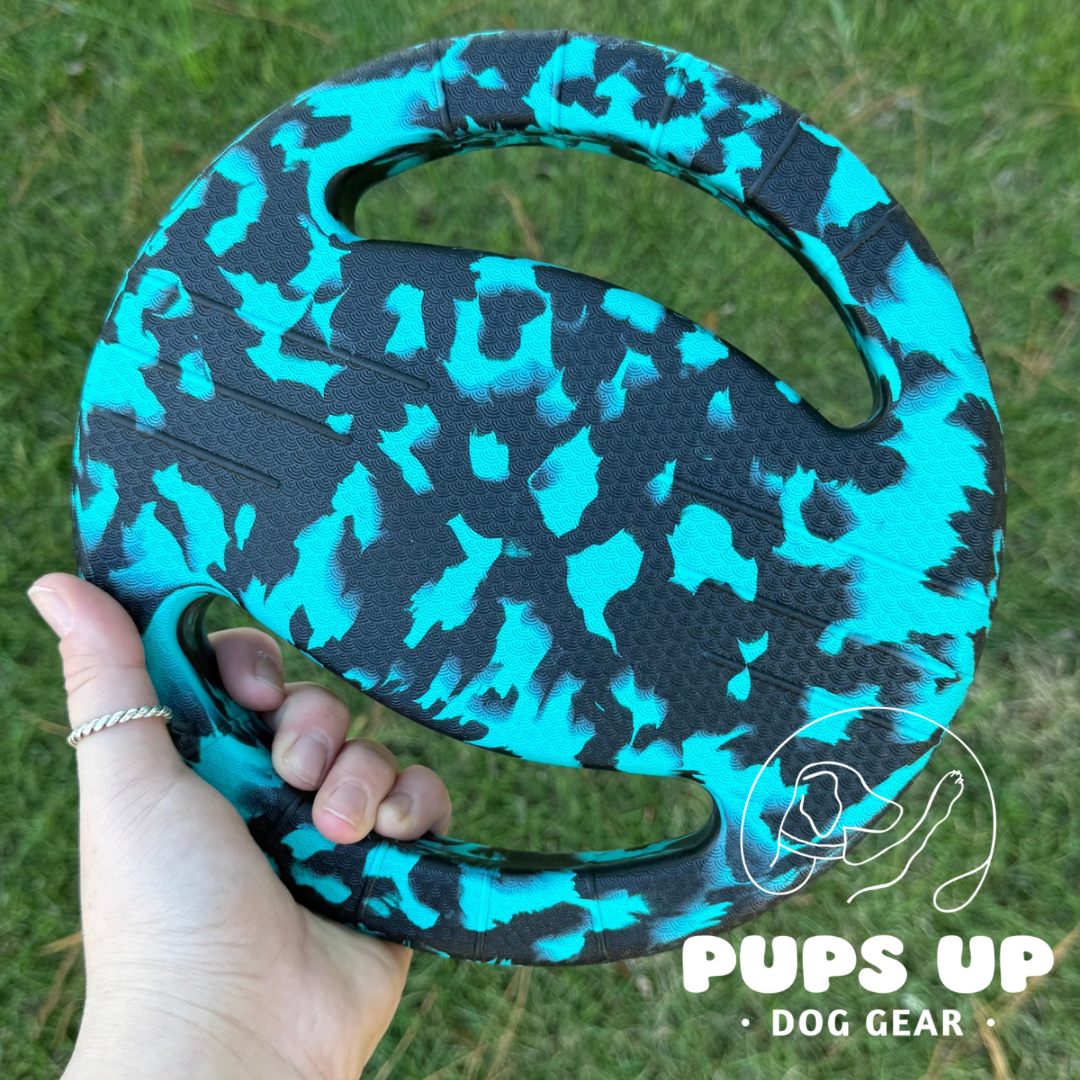 Baja Wave Frisbee with Handles