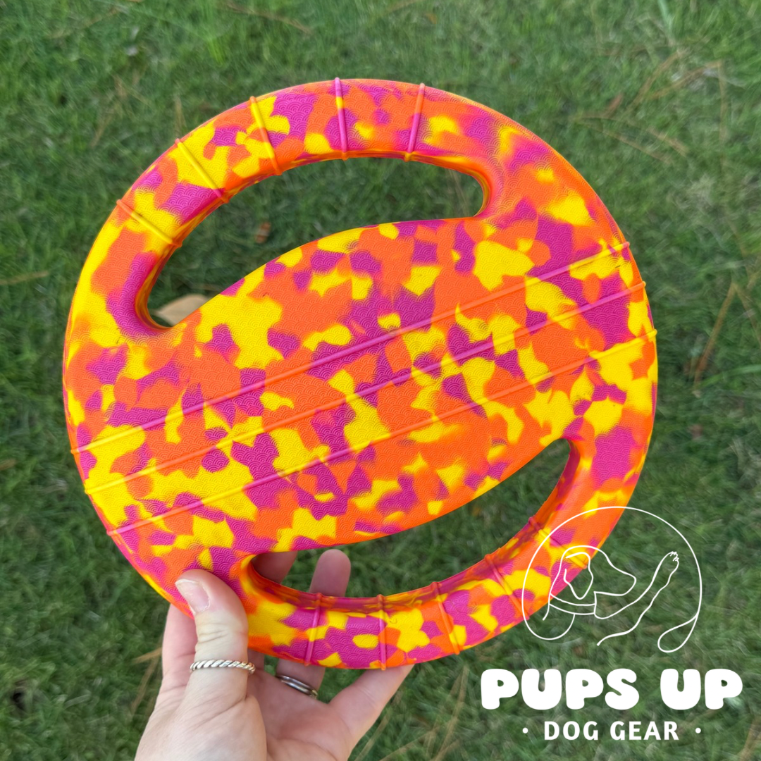 Tropical Punch Frisbee with Handles