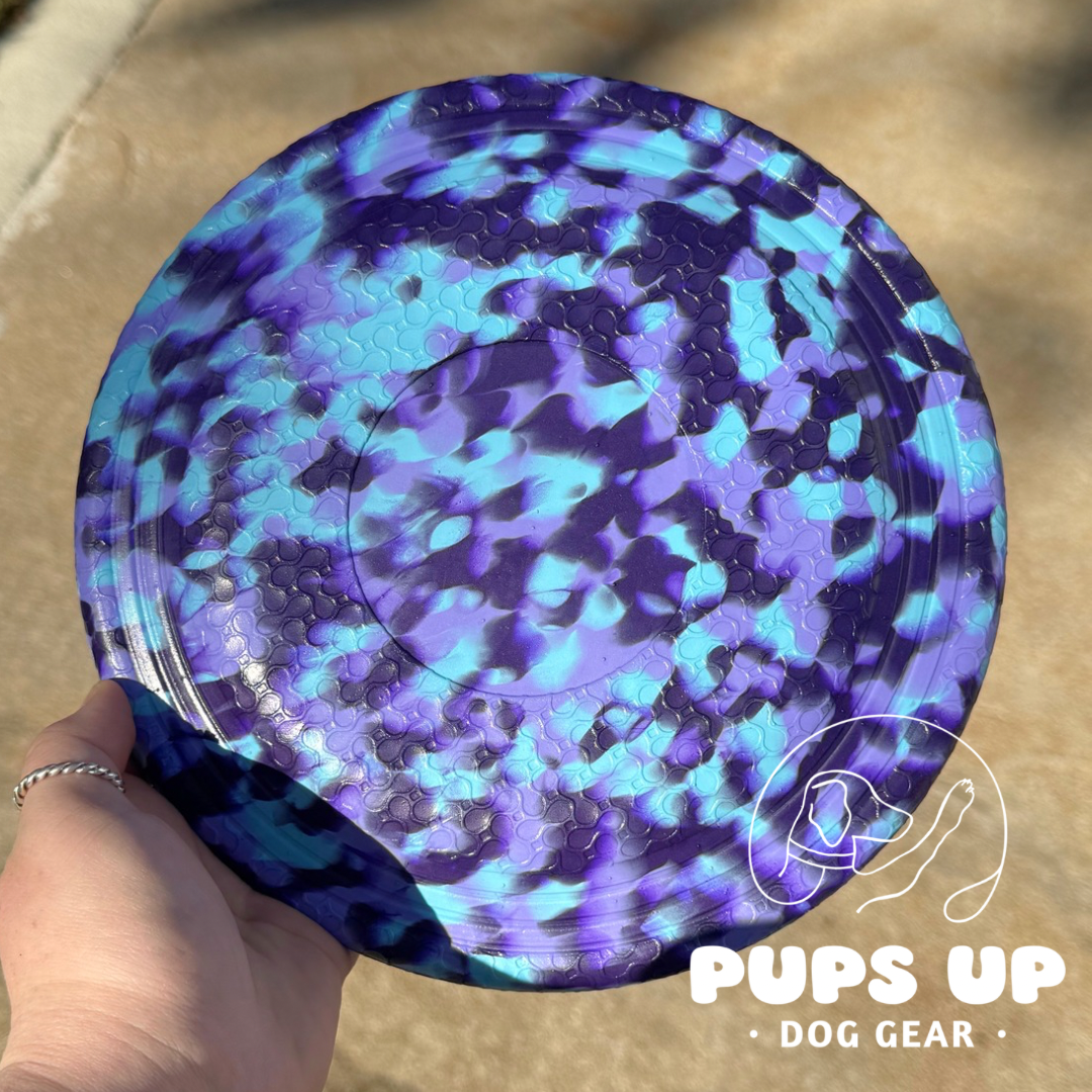 Nebula Frisbee