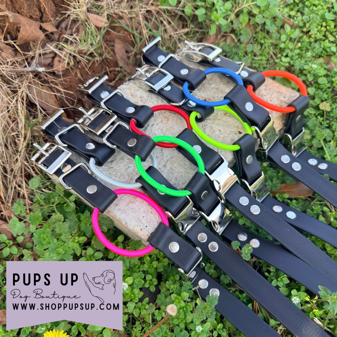 3/4" Bungee Cobra E Collar Strap
