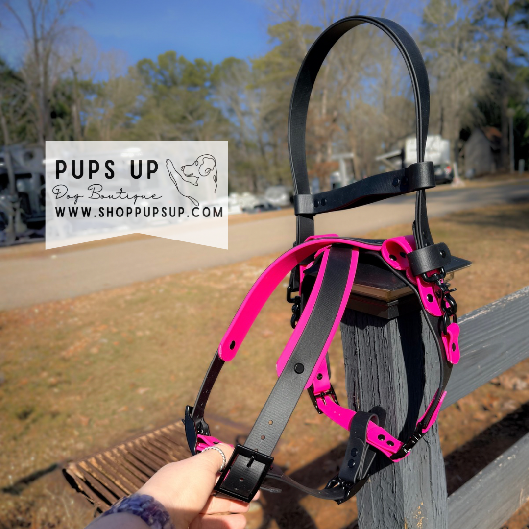 Build Your Own X Back Harness