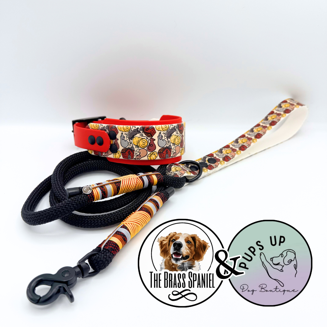 TBS Collab Set - 2” Collar w/ 5FT Rope Leash