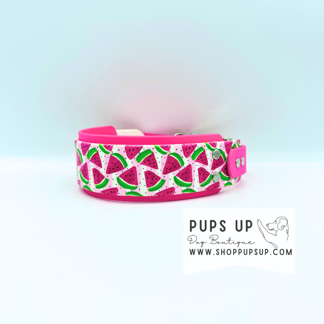 PREMADE 2” Watermelon Stripe Collar
