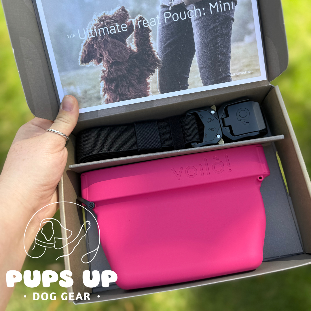 Voila Treat Pouch - Fuchsia