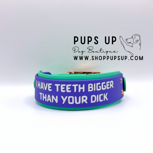 PREMADE 2” My Teeth Are Bigger Than Your Dick Collar