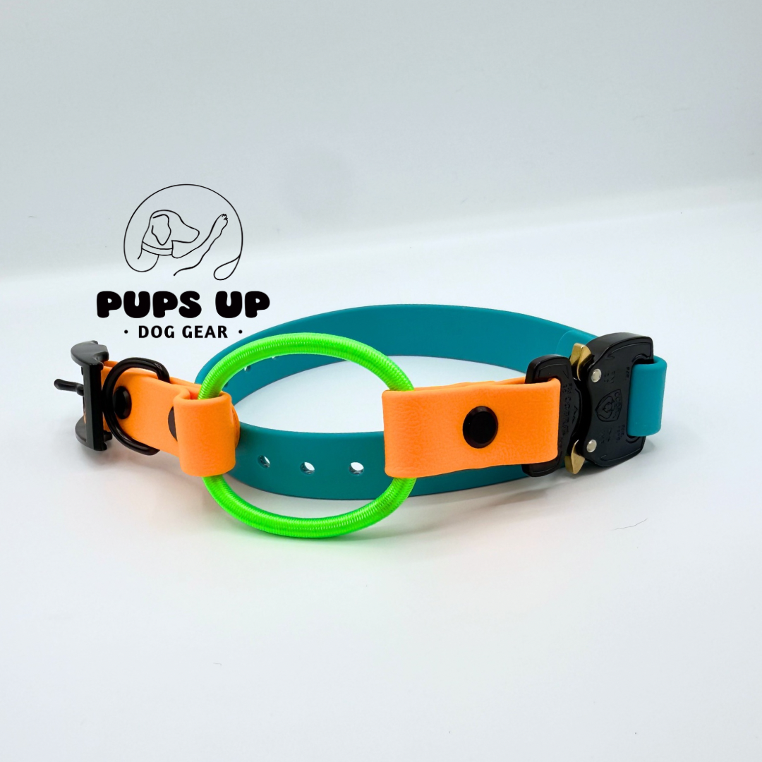 3/4" Bungee Cobra E Collar Strap