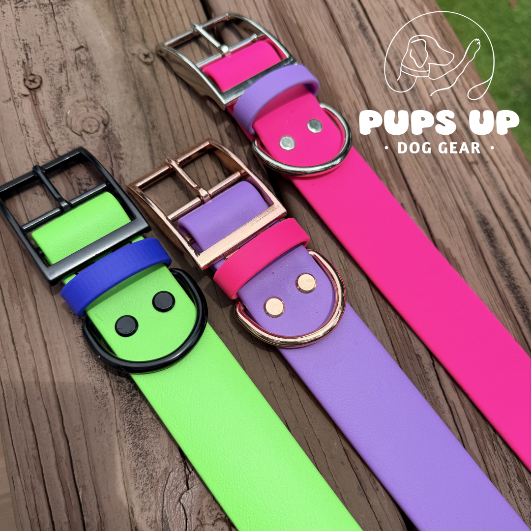 1.5" Buckle Collar