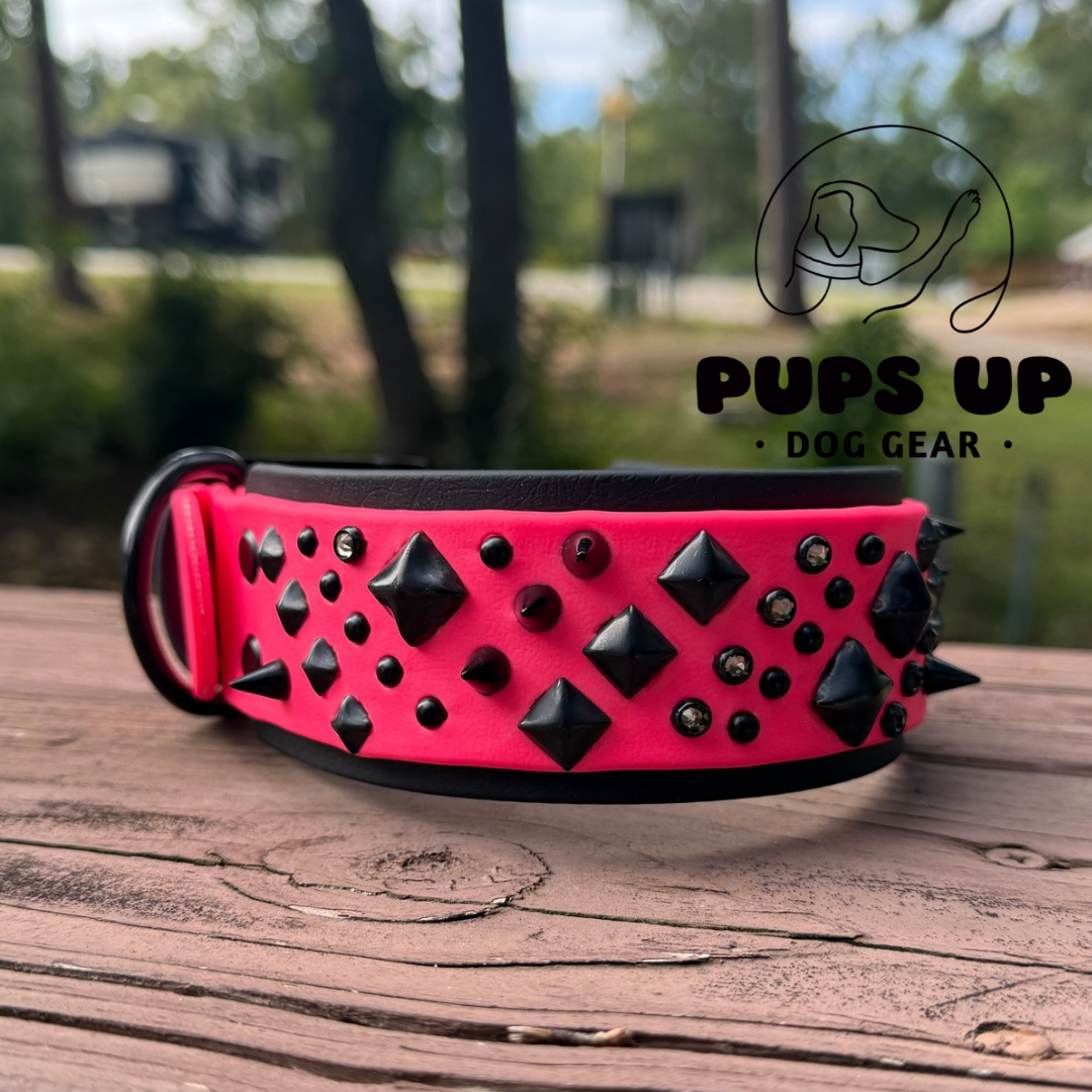 2” Specialty Collar - Studs, Pyramids, Spots, Spikes & Crystals