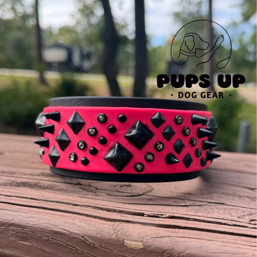 2” Specialty Collar - Studs, Pyramids, Spots, Spikes & Crystals
