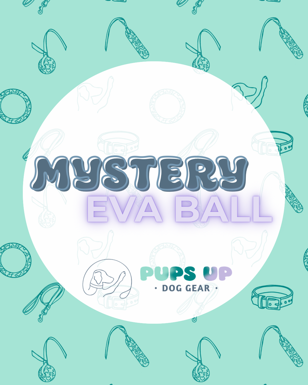 Mystery EVA Ball